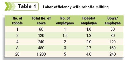 Labor efficiency