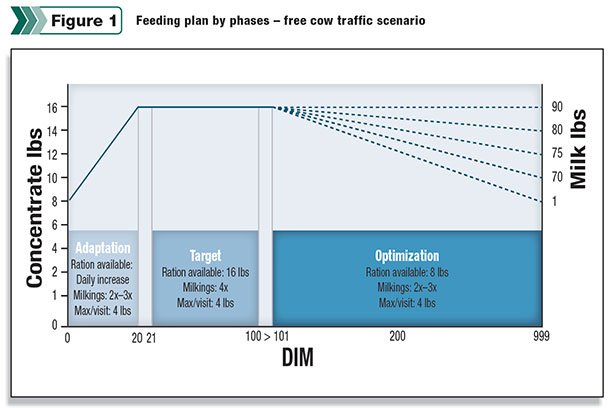 Feeding Plan by Phases Feeding Plan by Phases