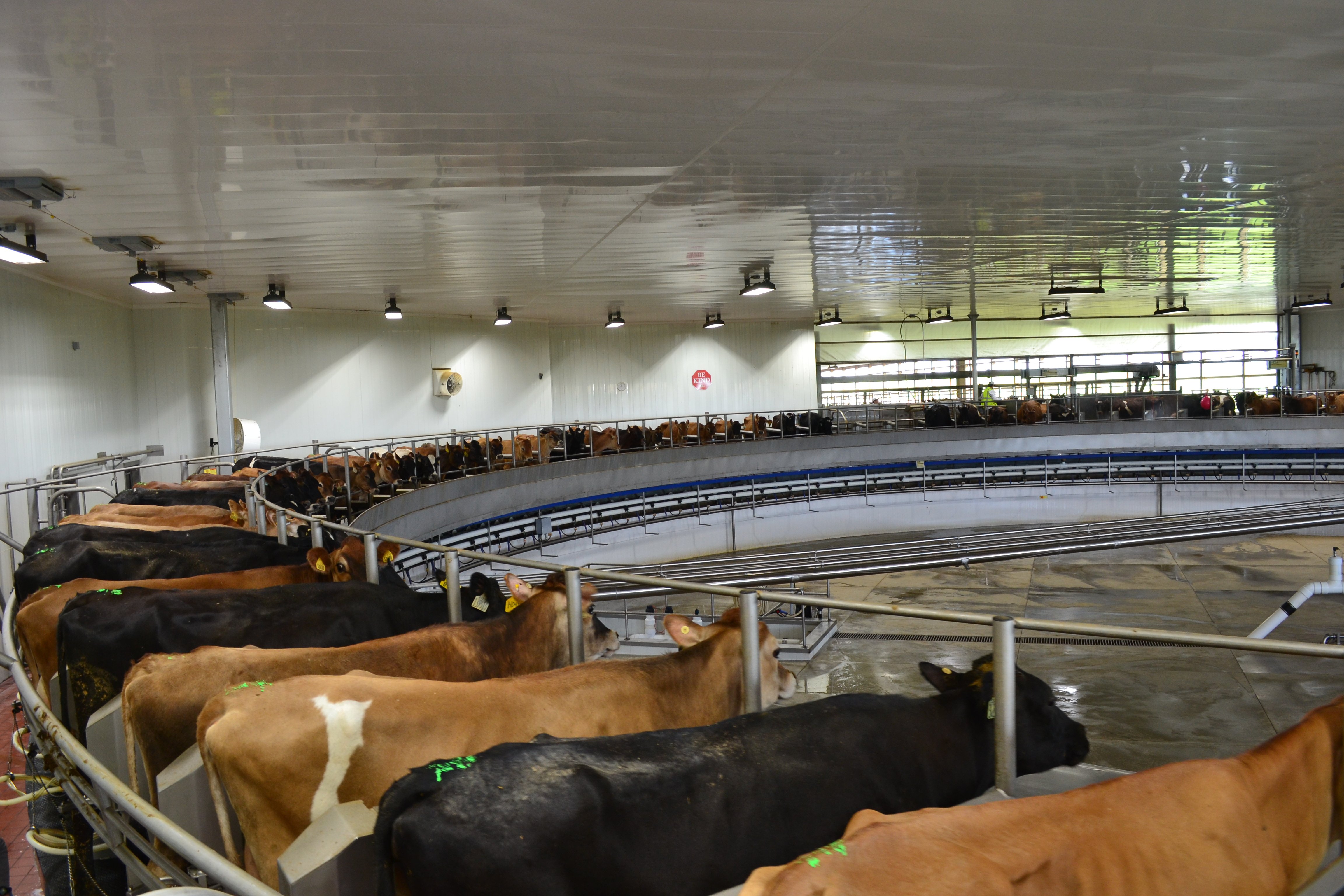 Meadow Star Dairy