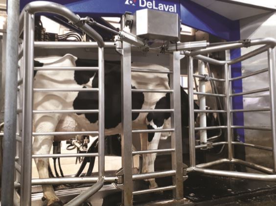 DeLaval VMS with Cow