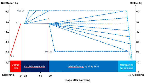 Schematic overview of a challenge feeding strategy for cows fed an individual based concentrate ration.