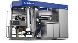 Hier ist das neue DeLaval_VMS_V300_2025 abgebildet