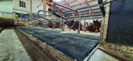 DeLaval cow mattress M55R?
