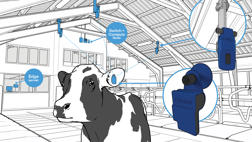 DeLaval Plus Behavior Analysis How It Works