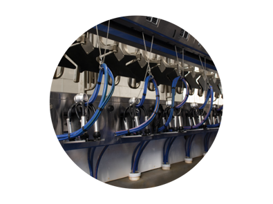 DeLaval Parallel Parlour
