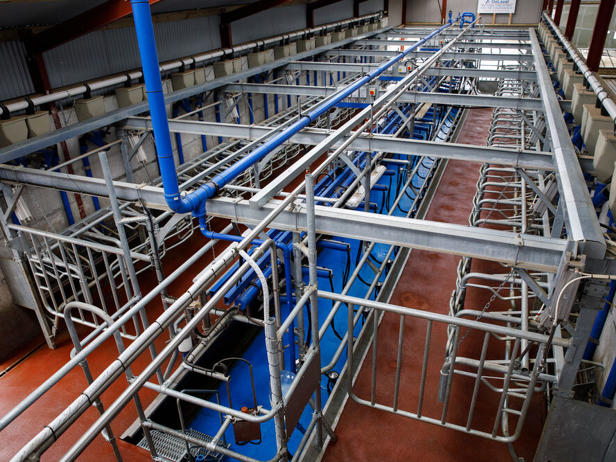Image-DeLaval-P100 Image-DeLaval-P100