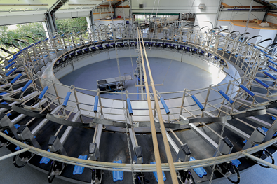 DeLaval E300 Rotary Parlour