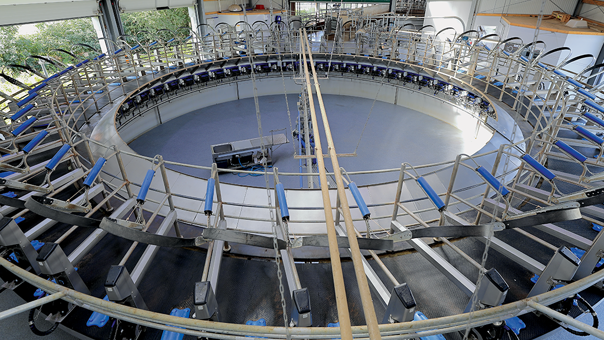 DeLaval E300 Rotary Parlour