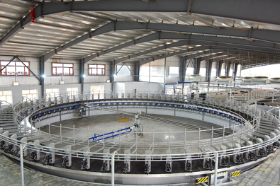 DeLaval E500 Rotary Parlour