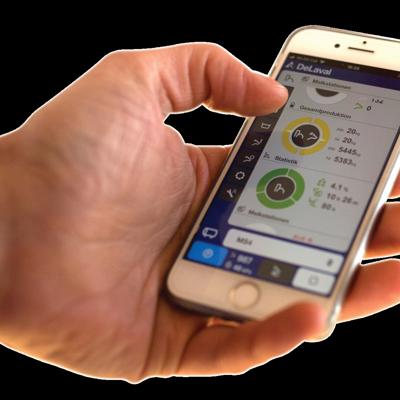 DeLaval Plus app displaying advanced monitoring data and milking performance insights.