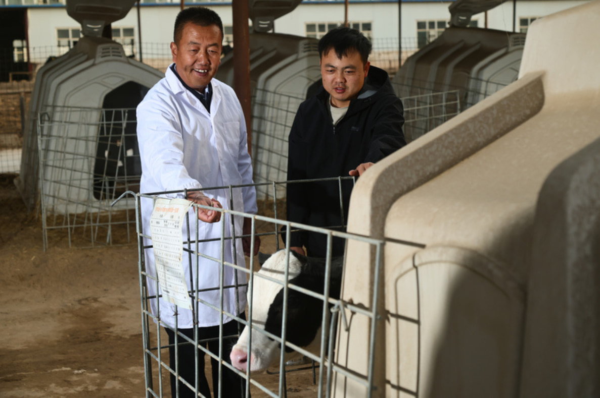 Case study China Retro fit