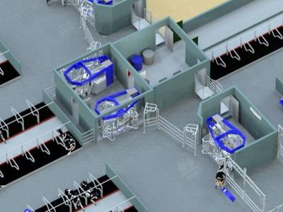 Free cow traffic layout with open barn design and automated milking system