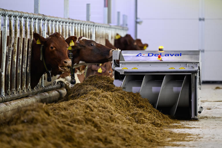 Yrjölän tila, Carita ja Paavo Pura, Tammela DeLaval