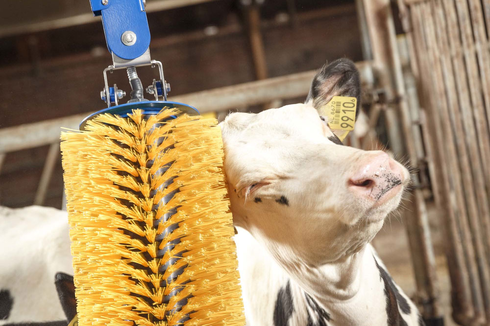 DeLaval Mini Schwingbürste MSB.jpg