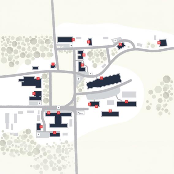 Hamra Farm overview