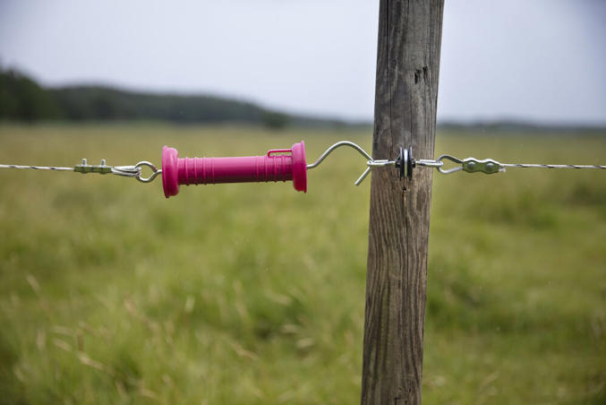 Poignée standard DeLaval