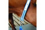 Collier et longe DeLaval