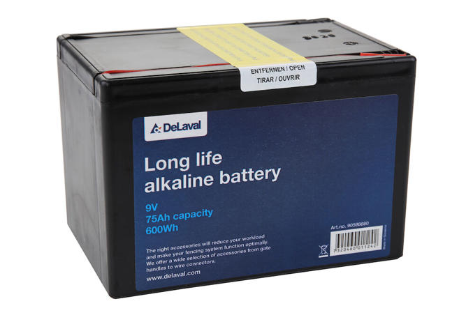 Pile alcaline 9V 