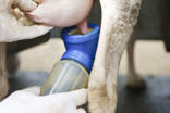 DeLaval side dipper SD300