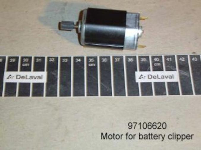 Motor