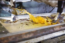 DeLaval klauvkar AFB1000 Produktbilde