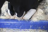 Limiteurs d'avancement BB120 et BB100 DeLaval