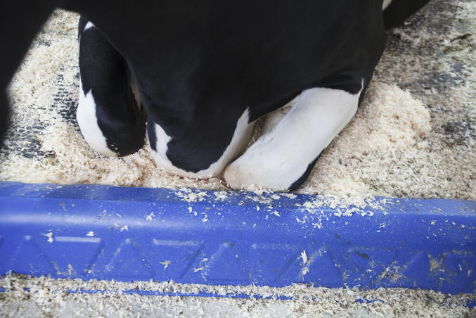 Limiteurs d'avancement BB120 et BB100 DeLaval