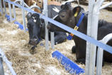 Limiteurs d'avancement BB120 et BB100 DeLaval