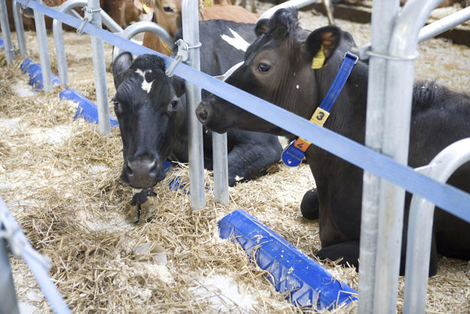 Limiteurs d'avancement BB120 et BB100 DeLaval