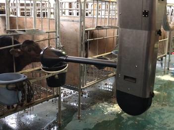 カーフフィーダー - DeLaval