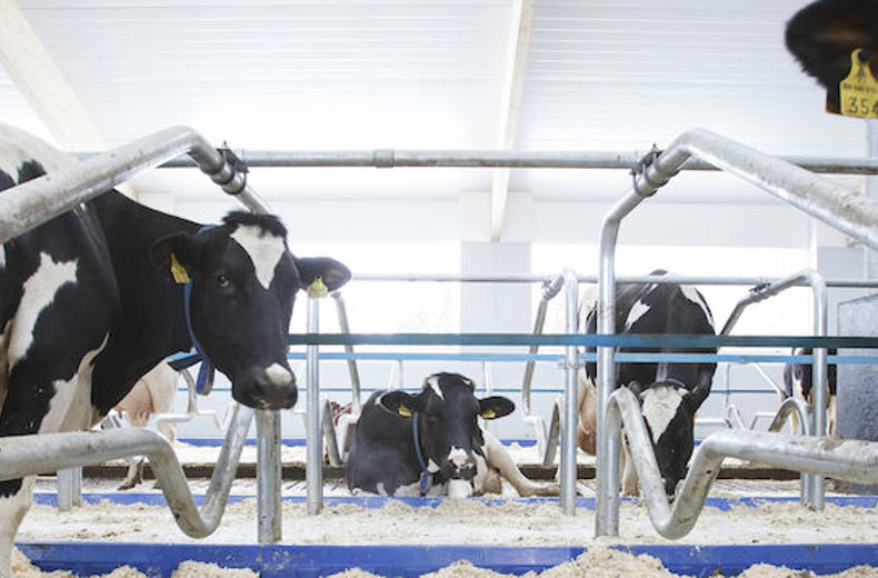 Catalog DeLaval