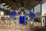 Brosse rotative pour races à viande SBB DeLaval