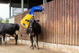 DeLaval swinging cow brush SCB3