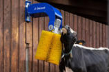 DeLaval frihängande ryktborste SCB3