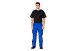DeLaval Arbeitshose Herren