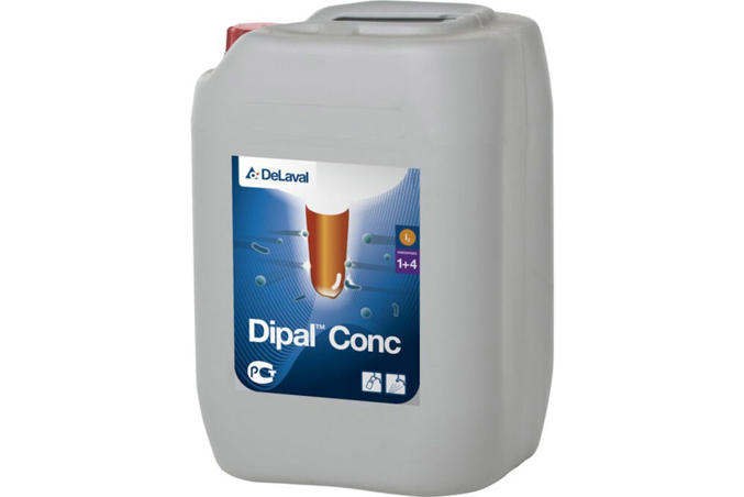 Dipal Conc