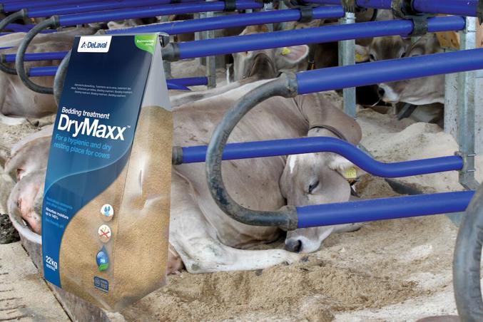 DryMaxx™ kuivitusaine