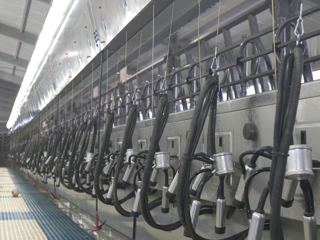 EnDurance™ parallel parlour - DeLaval