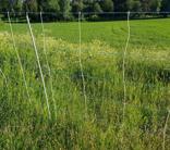 High energy sheep net