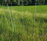 High energy sheep net