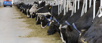 製品情報 | DeLaval｜デラバル