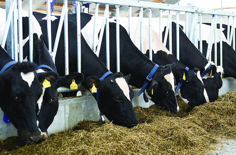 Product catalogue DeLaval