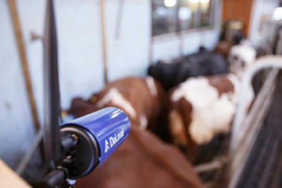 DeLaval Farm monitoring camera FMC-IP1