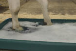 DeLaval PVC Footbath
