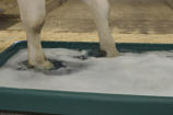 DeLaval PVC Footbath