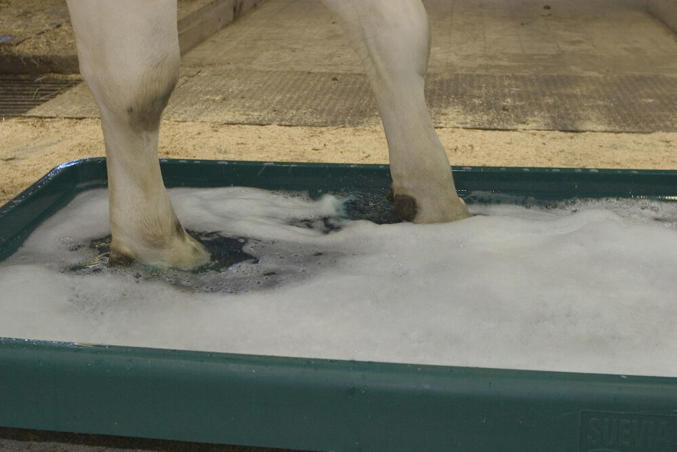 DeLaval PVC Footbath