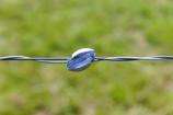 Raccord Gripple fils métalliques