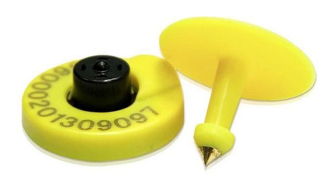 HDX Ear Tags