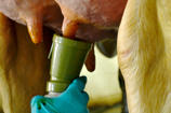 DeLaval IodoZyme™