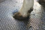 DeLaval cow mattress M40R 